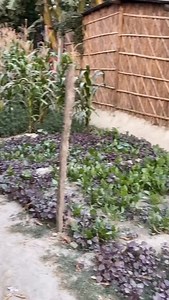 29K views · 11K reactions | O Radha | Chhotu Kumar Rajak | Facebook