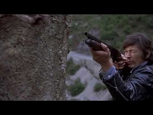 Top 10 Charles Bronson Films