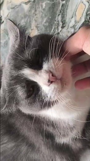 😻😻😻😻😻😻