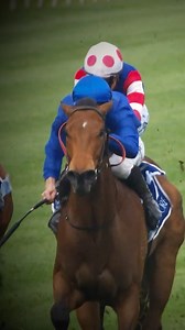 🇦🇺 FEATURE: G1 Darley Champions Sprint preview We touched base with James Cummings, the Head Trainer of Godolphin to get an update on In Secret’s progress leading into the G1 Darley Champions Sprint at Flemington @flemingtonvrc | Darley