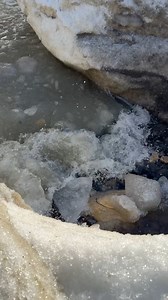 When Lake Michigan Is Angry… It Gives Up Ancient Fossils #fossil #rocks #rockhound #geology | OPE Rocks