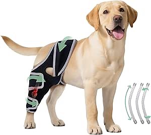 Dog Knee Brace for Torn ACL Hind Leg, Adjustable Four-Legged Universal Dog Knee Brace for Arthritis, Patellar Luxation, Hip Dysplasia, Relieve Joint Pain and Ligament Damage, M