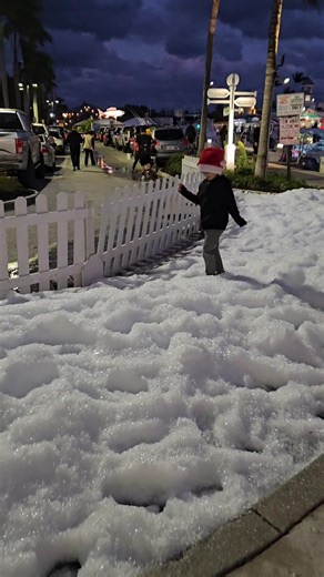 2.1K views · 24 reactions | Snow has arrived at the Boynton Harbor Marina! | Boynton Beach CRA | Facebook
