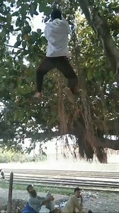 Climbing on the tree #TreeClimbing, #Adventure, #Nature, #OutdoorSports, #ClimbingTips, #TreeLovers, #NatureLovers, #AdventureSeeker, #ClimbingCommunity, #OutdoorEnthusiast | Martial arts TEC