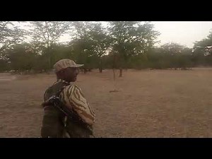 Big Rhinoceros in this awesome biggest jungle full video watch very close