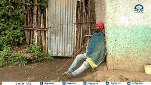 Tigray Update on Reels