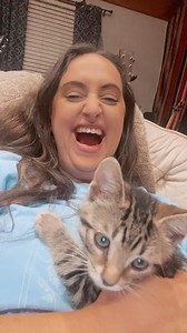 🥹🩷 #cats | Megan Barker