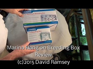 Marina HOB Breeding Box
