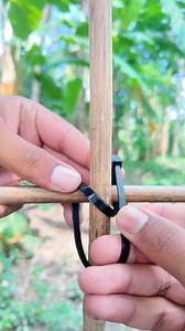 How to secure two bamboo poles with zip ties | Mahmud Hassan