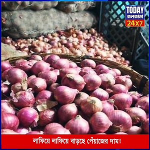 1.8K views · 33 reactions | লাফিয়ে লাফিয়ে বাড়ছে পেঁয়াজের দাম,উদ্বেগে আমজনতা! | Today Kolkata | Facebook