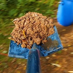 96K views · 83 reactions | Crystal Extraction in Forest | Hungry Panda | Facebook