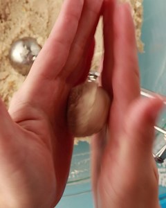 Sprinkle in some FUN to your holiday celebrations with these adorable snowman cake pops! Click "Learn More" to find the recipe. | Funfetti