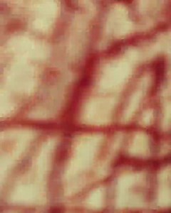 Demon Time video out now go run it up 😈😈 https://www.youtube.com/watch?v=wm4NCHcw0Yk | Trippie Redd