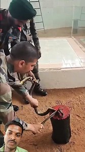 🇮🇳Commando Eat A Snake 🐍🔥Dangerous Short Video #nsgcommando​ #nsg​ #army​ #ytshorts forces #trending