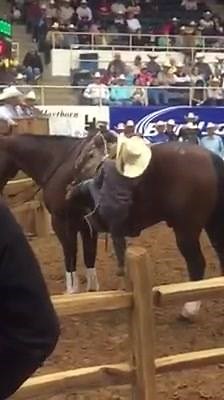 The cutest thing we've seen in a while... You're never too young | Kemo Sabe