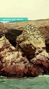 1.7K views · 111 reactions | The discovery of hydrothermal vents in...