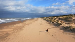 Träumt euch mit uns ins Unberührte, Weite, Schöne und entdeckt die Nationalparks der Niederlande! 🌾🌊 | Besucht die Niederlande