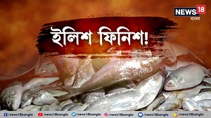 Hilsa Fish Price Hike : এইবছর ইলিশের জোগানে টান, ফলে দাম আকাশ ছোঁয়া ! #Hilsa #HilsaPriceHike #News18Bangla #BanglaNews #WestBengalNews | News18 Bangla