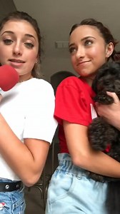 41K views · 873 reactions | we decided to have some fun with the fam and ask them wrong answers only questions | Brooklyn and Bailey | Facebook