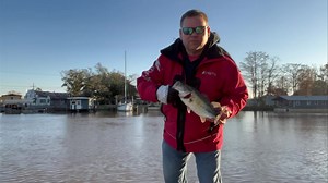 2.5K views · 22 reactions | BassCashBash Phoenix Boat Tag Release in Pierre Part at Bayside Tackle! BassCashBash March 1st thru July 4th $2,750,000 in Tags Don’t Be That Guy who misses out! | Basscashbash | Facebook