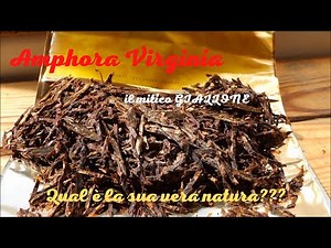Amphora Virginia - Qual'è la vera natura di questo tabacco da pipa?