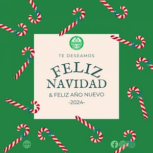 🎄 ¡Feliz Navidad y Próspero Año Nuevo! 🌟 Que estas fiestas estén llenas de amor, paz y alegría. Que el próximo año nos traiga nuevas oportunidades, éxitos y momentos inolvidables. ¡Gracias por ser parte de nuestra vida! 🎁✨ ¡Que la magia de la Navidad ilumine cada rincón de sus corazones! 🎅🏼🎉 #FelicesFiestas #amoryfelicidad #moringapura #MoringaPura #organico #navidad #NavidadEnFamilia #navidad #Feliznavidad #feliznavidad #moringapuraorganics #bienestarnatural #saludable #moringa | Moringa 