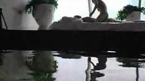 Japanese Dutch Geisha