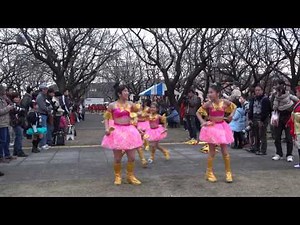 ぴょんぴょん天手子舞（～ツリー周回）／イルミネーション さくら並木会場／2013あやせイルミネーションde"よさこい"乱舞