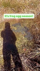 13K views · 197 reactions | For many Springs of my daughter’s...