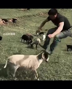 623 | D' Cup Coffee Republic