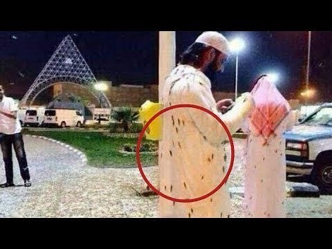 Nuée de cafard volant à la Mecque (Arabie Saoudite) ! (7 janvier 2019)
