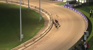 THE GREYHOUND GIRL on Reels | Facebook