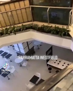 81K views · 657 reactions | In further bad news for Sydney, a gigantic rat takes over Parra Westfield taking advantage of humans all being in lock down  | Humans of Eastwood | Facebook