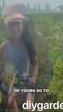 Compact & Lightweight: Ryobi 18V Cordless Lawn Mower Review