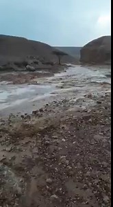WATCH: Flash-flood in Shani river in Eilat mountains. Beautiful land of Israel! 🇮🇱 | Hananya Naftali