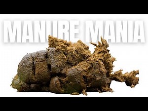 The Many Ways to Compost Manure (Let's Try Them All!)