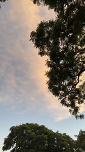 1.4K views · 95 reactions | Tocky Vibes  | The Vee Bag. | Facebook