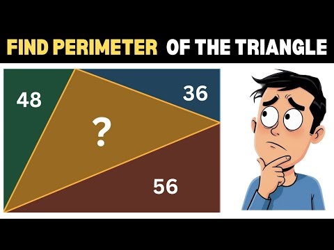 Can You Solve This INSANELY HARD Geometry Puzzle?
