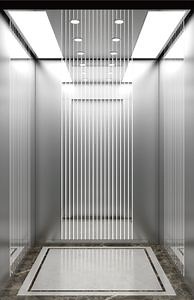 [Hot Item] Vvvf Control Home Observation Panoramic Passenger Elevator