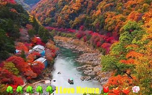 6.5K views · 173 reactions |  I Love Nature ☘ | Flowers and Nature | Facebook