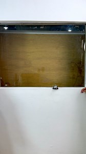 5.3K views · 26 reactions |  Ding Dong! Navi is knocking on your windows! Say goodbye to see-through views and hello to privacy with our premium blockout curtains. Be there this sale and save big while transforming your space! ✨ #naviphilippines #naviph #homebudol #hometokshop | NAVI Philippines | Facebook