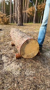 Log Fire Pit 🔥 | Crafty Panda