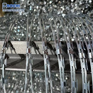[Hot Item] Galvanized Barbed Wire Security Guard Stainless Steel Razor Wire