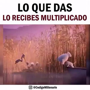 1.1K views · 34 reactions | Rocket Digital on Reels | Facebook