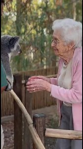 16K views · 121 reactions | A touching moment as a grandma shares a warm hug with a koala. A sweet hug between a grandma and a koala melted hearts. #Kindness #Viral #Respect #fblifestyle #AI Generated using Kling AI . . . (For entertainment purposes only. Consult professionals if guidance on activities is presented. No brand affiliation is implied if any are shown. If inspired by true events, creative adaptations may be included. Content may include public footage.) | Fabiosa Belle | Facebook