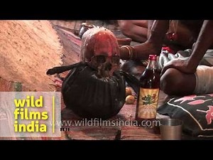 Aghori baba staying at a temporary hut - Haridwar