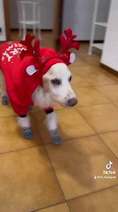 114K views · 10K reactions | Wenas wenaaaaas | Im Mazapan | Facebook