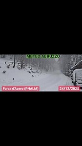 169K views · 1.5K reactions | FORCA D'ACERO... IN BIANCO...