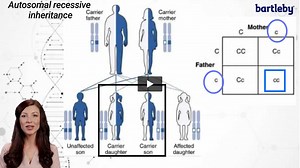 Answered: Genetic Inheritance Patterns: Retinitis pigmentosa (RP) can be autosomal recessive, autosomal dominant, or x-linked. Apparently the dominant forms are often… | bartleby