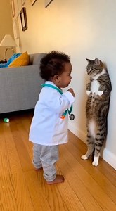 644K views · 13K reactions | Posted by Animal Laugh World Get ready...